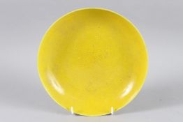 A CHINESE YELLOW PORCELAIN PLATE, six character mark. 22cm diameter