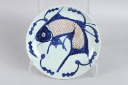 A CHINESE CIRCULAR PORCELAIN DISH painted wit a large fish in blue. 25cm diameter