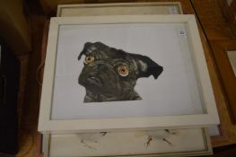 An amusing picture of a dog together with two other pictures.