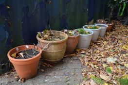 Various terracotta and glazed plant pots.