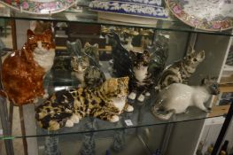 A good collection of six Winstanley cats.