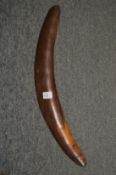An early boomerang.