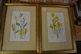 Two botanical prints and an amusing print.