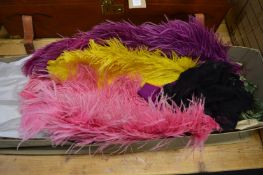 A box of large colourful feathers.