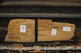 Two pieces of petrified wood for use as bookends.