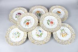 A SET OF EIGHT BOTANICAL PORCELAIN PLATES painted with flowers.