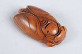 A CARVED WOOD CICADA NETSUKE.