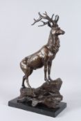 AFTER MOIGNIEZ. A bronze standing stag on a marble base. 23ins high.