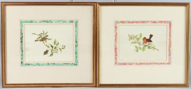 AFTER FRANCIS SMITH (b.1812) Tree Sparrow and Robin, pair of coloured prints, 12.5 x16.5cm