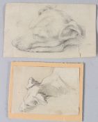 TWO SMALL OLD MASTER GRAPHITE DRAWINGS Dogs heads unframed (a/f) 6 x 10cm and 3 x 7cm (2)