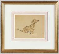 LUCY DAVIES Dachshund dog, pencil and conte sketch, signed, 17 x 21.5cm