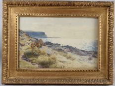 SCOTTISH SCHOOL (19TH CENTURY) 'Drumadoon' Isle of Arran watercolour, inscribed and indistinctly