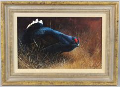 TERENCE LAMBERT (b.1951) Black Grouse oil on canvas, signed, 21 x 34cm