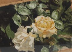 JAMES ELLIS 'Yellow Roses' watercolour, Chelsea Art Society exhibition label 25 x 35cm (slipped in