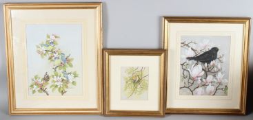 JOYCE ROGERSON Bird studies group of three watercolours all signed with artists labels on the