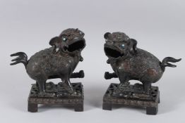 A GOOD PAIR OF CHINESE BRONZE FOO DOGS on pierced rectangular bases 17cms high.