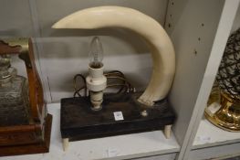 A boars tusk mounted table lamp.