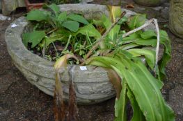 A large circular reconstituted stone planter.
