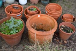 Quantity of terracotta plant pots.