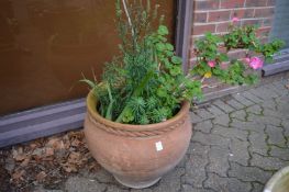 A large terracotta circular garden urn complete with plants.