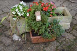 A small terracotta planter and a rectangular reconstituted stone planter complete with plants.
