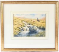 ANDY BECK 'Glendruff Grouse' watercolour, signed and dated 9/94 16.5 x 23cm