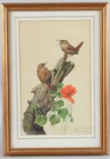 RICHARD BRITTON Two wrens on a stump with poppies watercolour signed 31 x 19cm