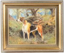 SYLVIS WOLSTENHOLME (2OTH CENTURY) Foxhound in woodland oil on canvas signed 34 x 44cm