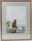 BRUCE HENRY 'European Eagle Owl' watercolour signed bears labels on backing boards 42 x 31cm