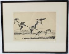 WINIFRED AUSTIN 'Brent Geese' etching signed in pencil Arthur Greatorex label verso plate 20 x 29.