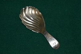 A silver shell shaped caddy spoon.