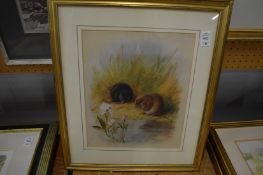 Archibald Thorburn, three colour prints.