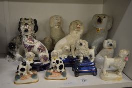 A group of Staffordshire spaniels and other dogs.