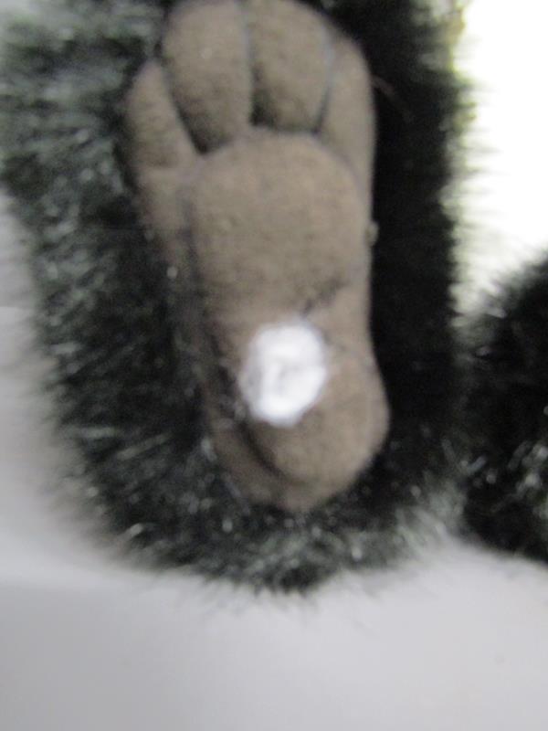 3 Charlie Bears and The Ultimate Teddy bear book - Isabelle Lee Pudding - Teardrop & Lita (all - Image 5 of 8