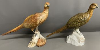 Spode bisque porcelain hen pheasant & a Spode Copeland China hen pheasant with damaged tail
