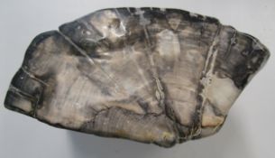 Fossilised wood - approx. 36cm x 20cm x 20cm & 25kg