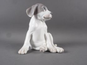 A Royal Copenhagen model Pointer Puppy (1452/259) designed by Erik Nielsen, 7 1/2" high