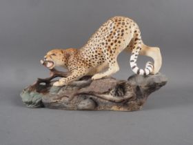 A Beswick model cheetah, 11 3/4" long