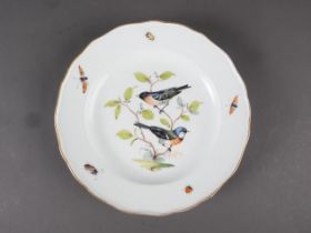 A Meissen style shaped edge plate with birds on a branch and insect decoration, 9 1/2" dia