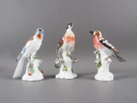 Three 19th century Continental porcelain model birds, tallest 6 1/2" high (some small damages)