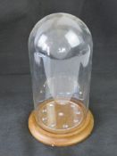 A contemporary glass dome on wooden base