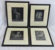 A set of four black and white nature pri