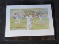 Joy Hawken cricketing print, glass frame 60 x 50cm.