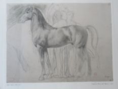 Print; Edgar Degas Study of a HOrse with Figures c1861, framed.