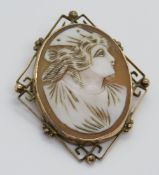 A 9ct gold carved shell cameo brooch, stamped 9ct to Greek key pattern frame, approx 4.6cm high.