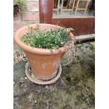 A terracotta plant pot approx 41cm dia at top.