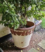 A large painted garden planter, 62cm dia, 62cm high. Includes plant.