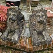 A fine pair of cast concrete recumbent lions, each 95cm in length.