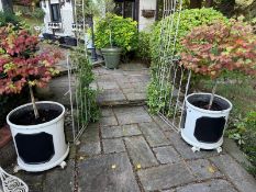 A pair of composite garden planters, 56 x 56cm. Includes plants.
