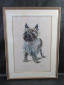 An original pastel of a terrier, signed C.A. Sharley, framed.